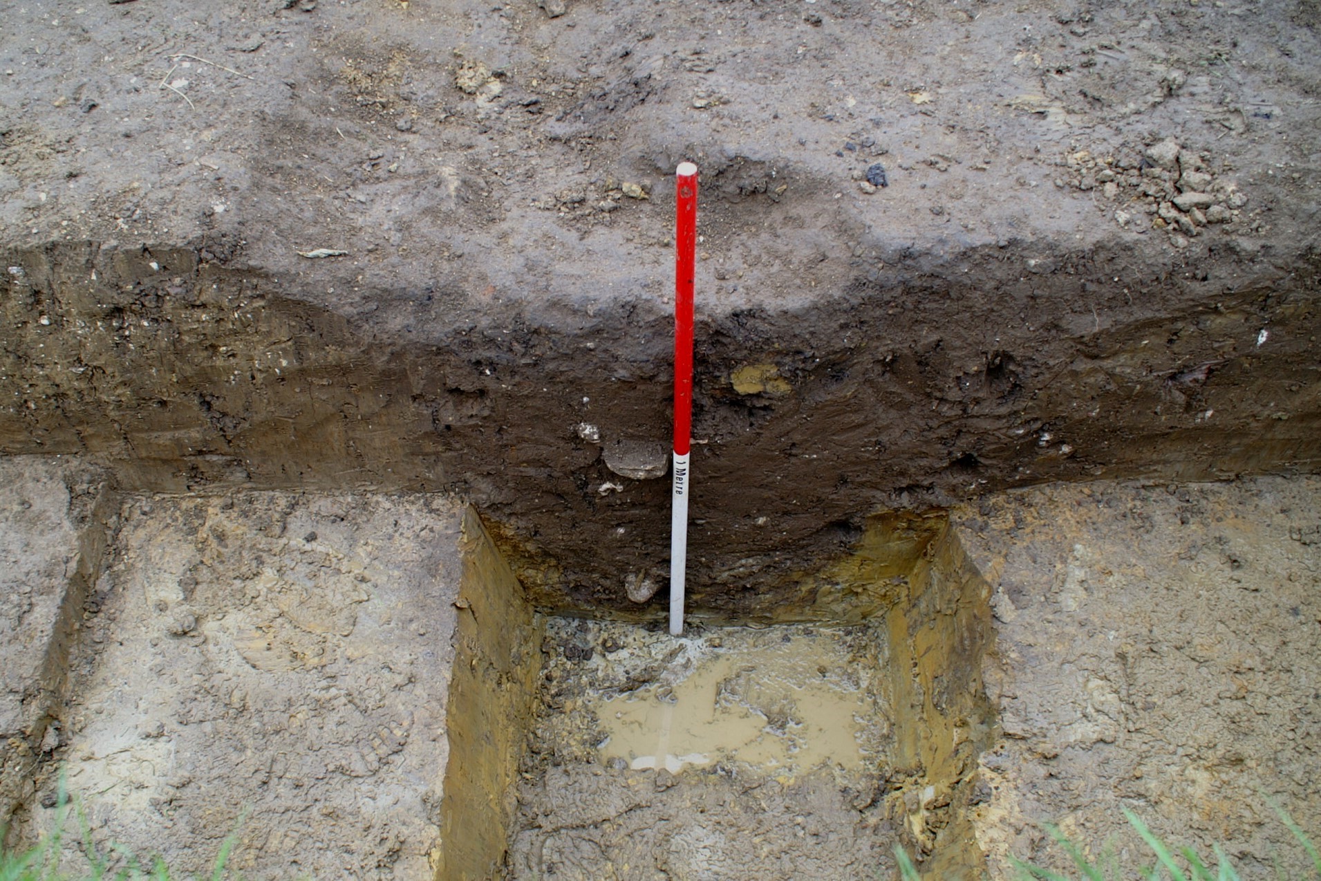 The ditch in Trench 1